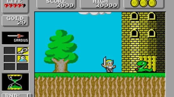 Super Wonder Boy in Monster Land — screenshot 5