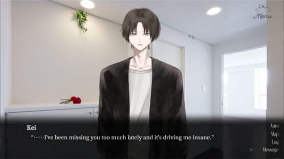 Dekiai Heart Candy Kun. — screenshot 4