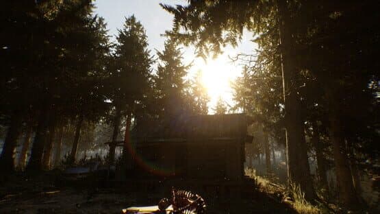 Decayed — screenshot 3