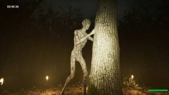 Slender: Reborn — screenshot 3