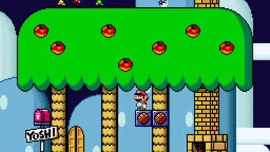 Shell Out — screenshot 1