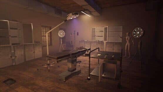 Madness on Display — screenshot 2