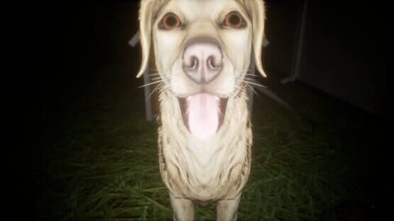 The Paddy Field — screenshot 4
