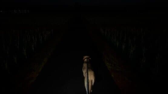 The Paddy Field — screenshot 6
