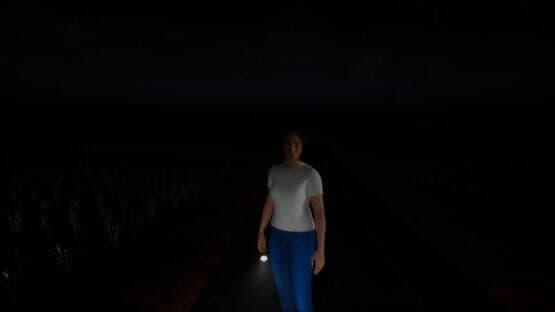The Paddy Field — screenshot 7