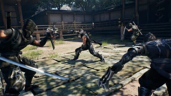 Ninja Gaiden II Black — screenshot 2