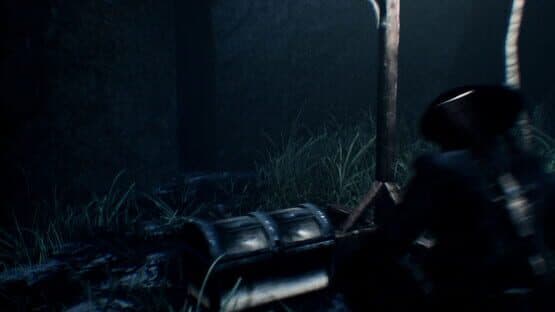 Pirates Never Die — screenshot 2