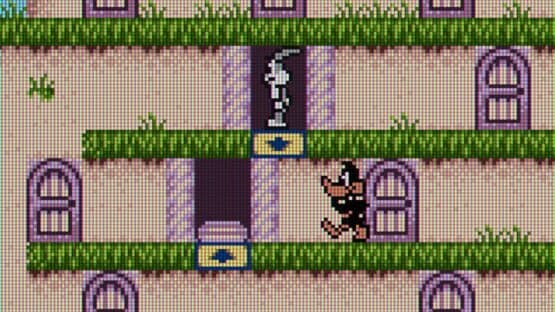 Bugs Bunny: Crazy Castle 3 — screenshot 3
