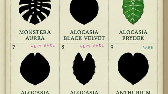 Dustbunny: Emotions to Plants — screenshot 4