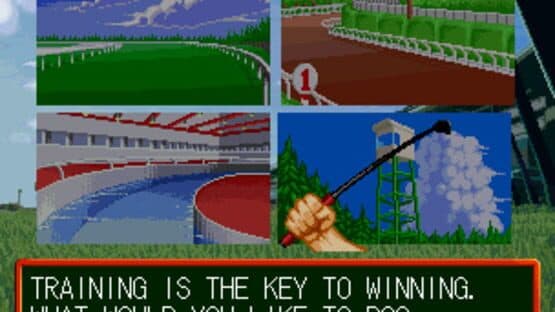 Stakes Winner 2 — screenshot 5