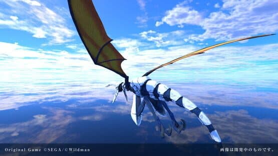 Panzer Dragoon Voyage Record — screenshot 1