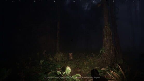 Saci: The Cursed Hunt — screenshot 2