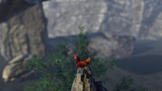 Unlucky Chicken — screenshot 6
