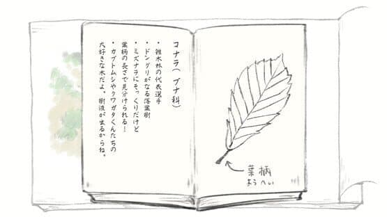 Satoyama Note: Spring Walk — screenshot 6