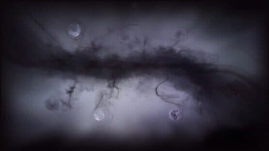 Cyrano Story — screenshot 2