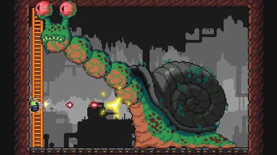 M.A.D. Cows and D.U.M.B. Ducks Bundle — screenshot 3