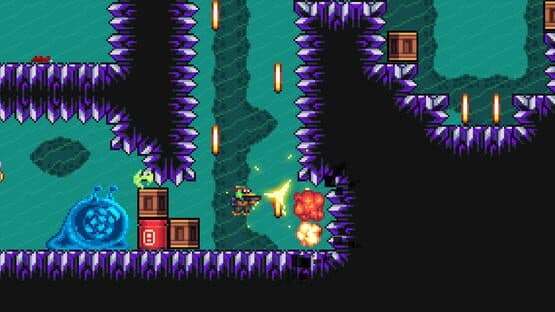 M.A.D. Cows and D.U.M.B. Ducks Bundle — screenshot 5