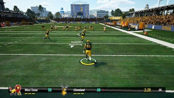 Maximum Football: Legend Edition — screenshot 2