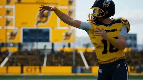 Maximum Football: Legend Edition — screenshot 3