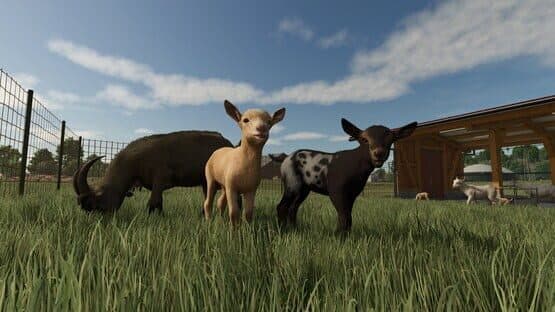 Farming Simulator 25: Year 1 Bundle — screenshot 4