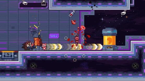 Buck 'n Grunts Bundle — screenshot 7