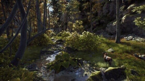 Way of the Hunter: Ultimate Edition — screenshot 3