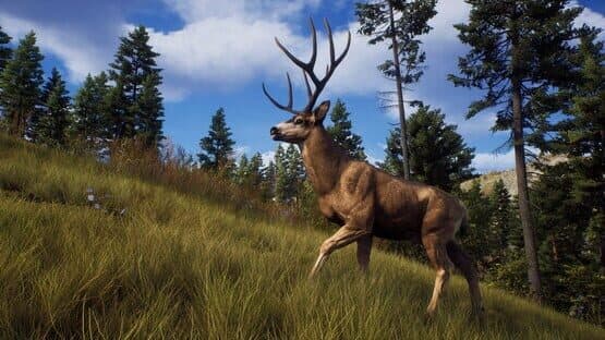 Way of the Hunter: Ultimate Edition — screenshot 4