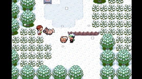Pokémon Emerald Slide — screenshot 2