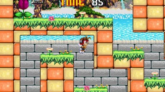 Charmy Maze — screenshot 1