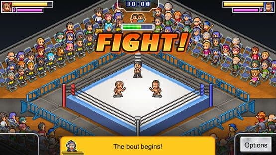 Pro Wrestler Story — screenshot 3
