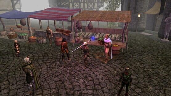 Neverwinter Nights: Enhanced Edition - Doom of Icewind Dale — screenshot 1