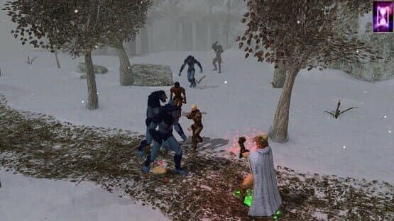 Neverwinter Nights: Enhanced Edition - Doom of Icewind Dale — screenshot 4