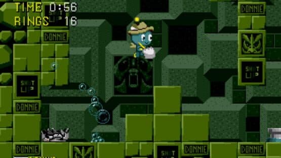 Donnie the Chao — screenshot 2
