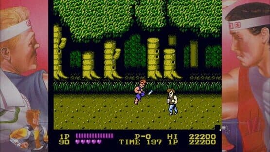 Double Dragon — screenshot 1
