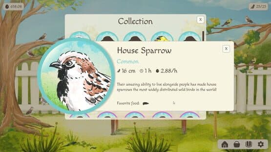 Birdfull — screenshot 5