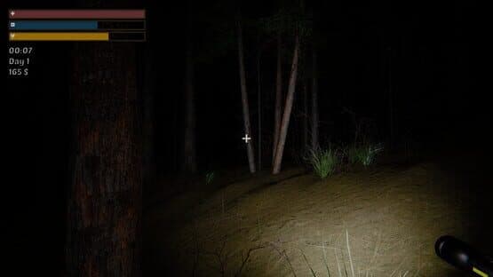 Pohinki Simulator — screenshot 3