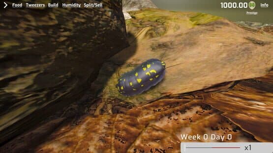 Isopod Keeping Simulator — screenshot 1