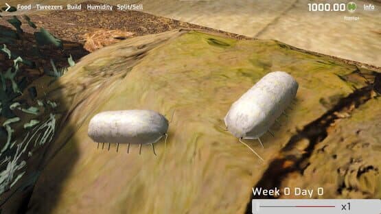Isopod Keeping Simulator — screenshot 3