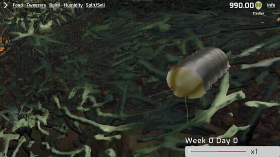 Isopod Keeping Simulator — screenshot 4