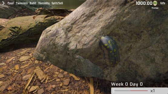 Isopod Keeping Simulator — screenshot 5
