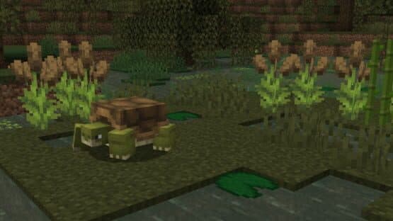 Naturalist — screenshot 2