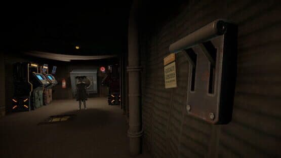 The Survivor — screenshot 1