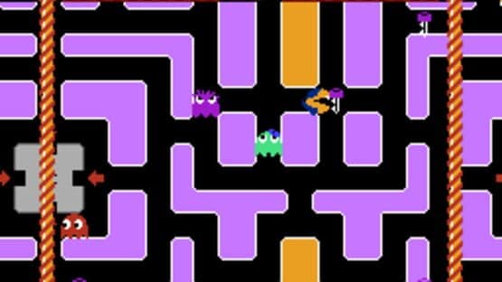 Count Pacula — screenshot 2