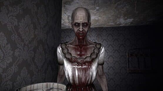The Maid — screenshot 4