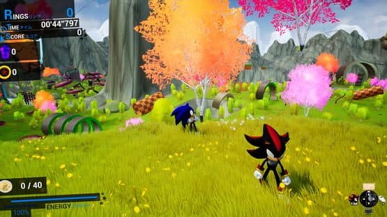 Sonic & Shadow — screenshot 3