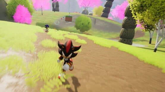 Sonic & Shadow — screenshot 5