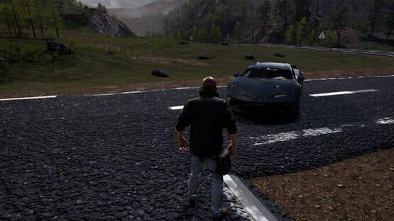 Nisukka Racing Simulation — screenshot 3