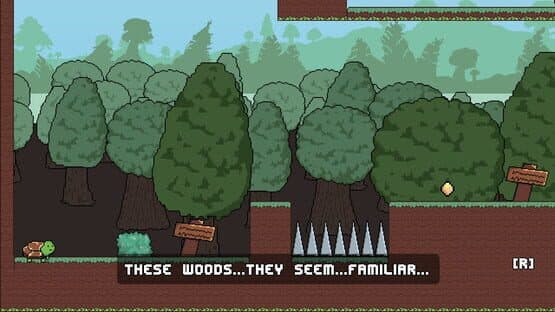 TurtleRun — screenshot 1