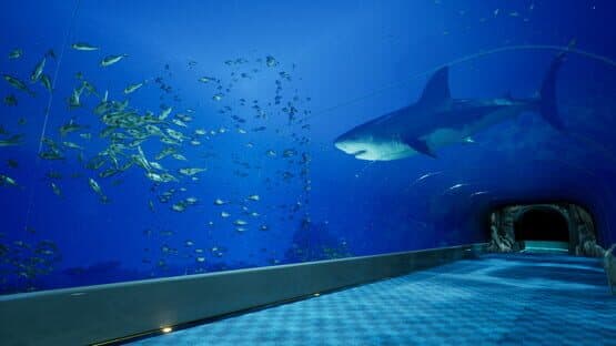 Aquarium at August 32nd — screenshot 1