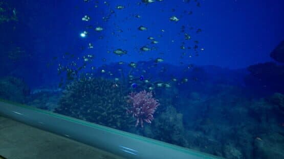 Aquarium at August 32nd — screenshot 4